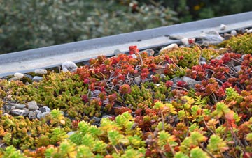 the cost of Dunkeld green roof installation