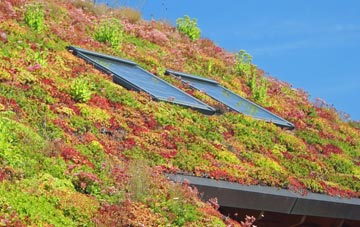 Dunkeld living roof systems