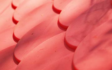 Dunkeld plastic roof costs