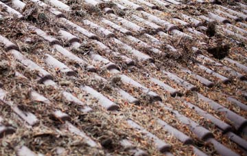 Dunkeld roof cleaning companies