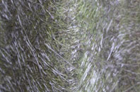 Dunkeld fibreglass roof work