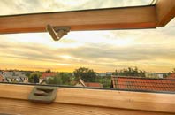 rated Dunkeld roof window companies